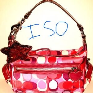 Y2K Coach Valentines Day Kisslock Baguette ISO